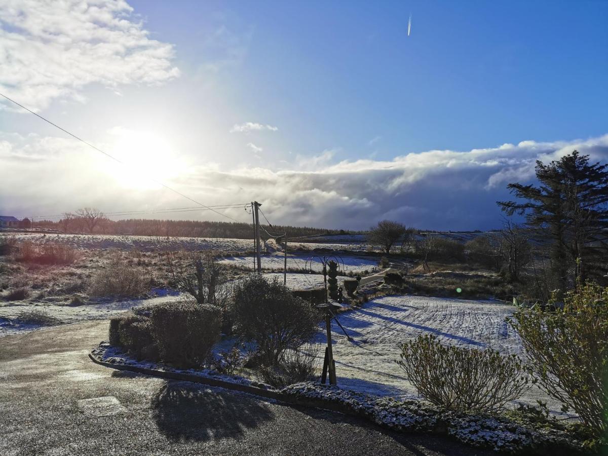 New Listing - Ladybird Cottage - Donegal - Wild Atlantic Way Donegal Town Exteriér fotografie