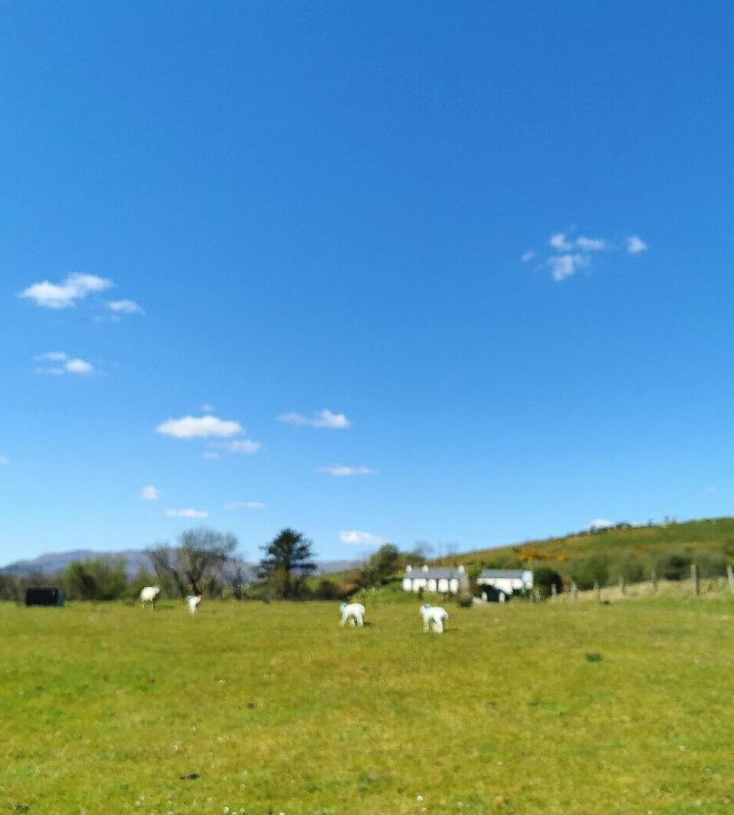 New Listing - Ladybird Cottage - Donegal - Wild Atlantic Way Donegal Town Exteriér fotografie