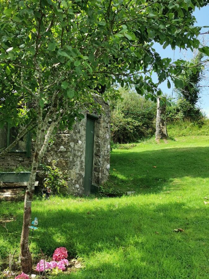 New Listing - Ladybird Cottage - Donegal - Wild Atlantic Way Donegal Town Exteriér fotografie