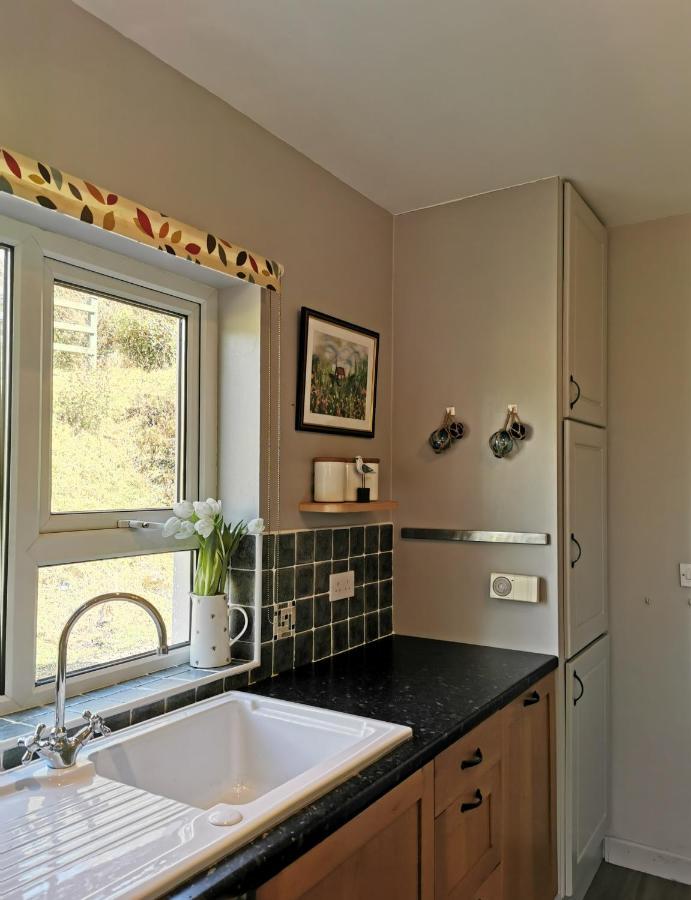 New Listing - Ladybird Cottage - Donegal - Wild Atlantic Way Donegal Town Exteriér fotografie