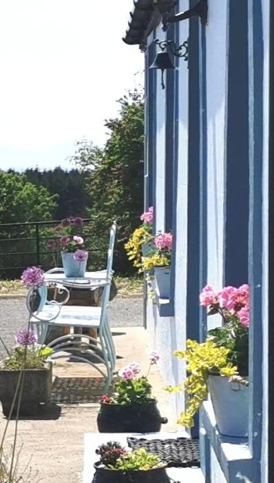 New Listing - Ladybird Cottage - Donegal - Wild Atlantic Way Donegal Town Exteriér fotografie
