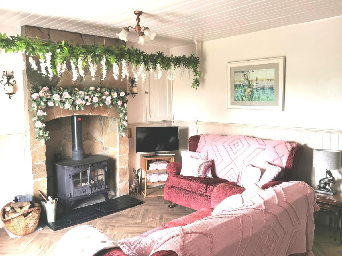 New Listing - Ladybird Cottage - Donegal - Wild Atlantic Way Donegal Town Exteriér fotografie